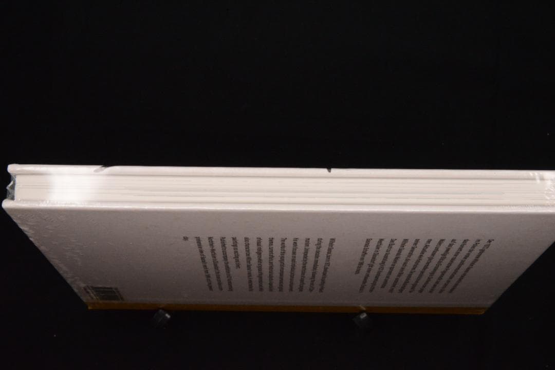 【Wilhelm Sasnal 】ヴィルヘルム・サスナル　★大幅に値下げしました