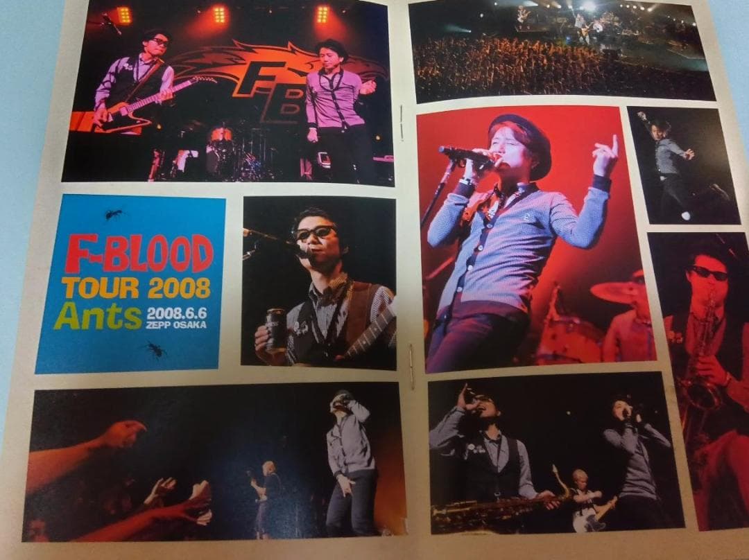 藤井フミヤ F-BLOOD TOUR 2008 Ants DVD FC会員限定品