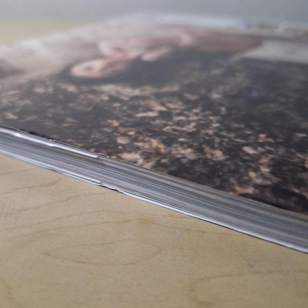 ひより日和。 桜田ひより1st写真集