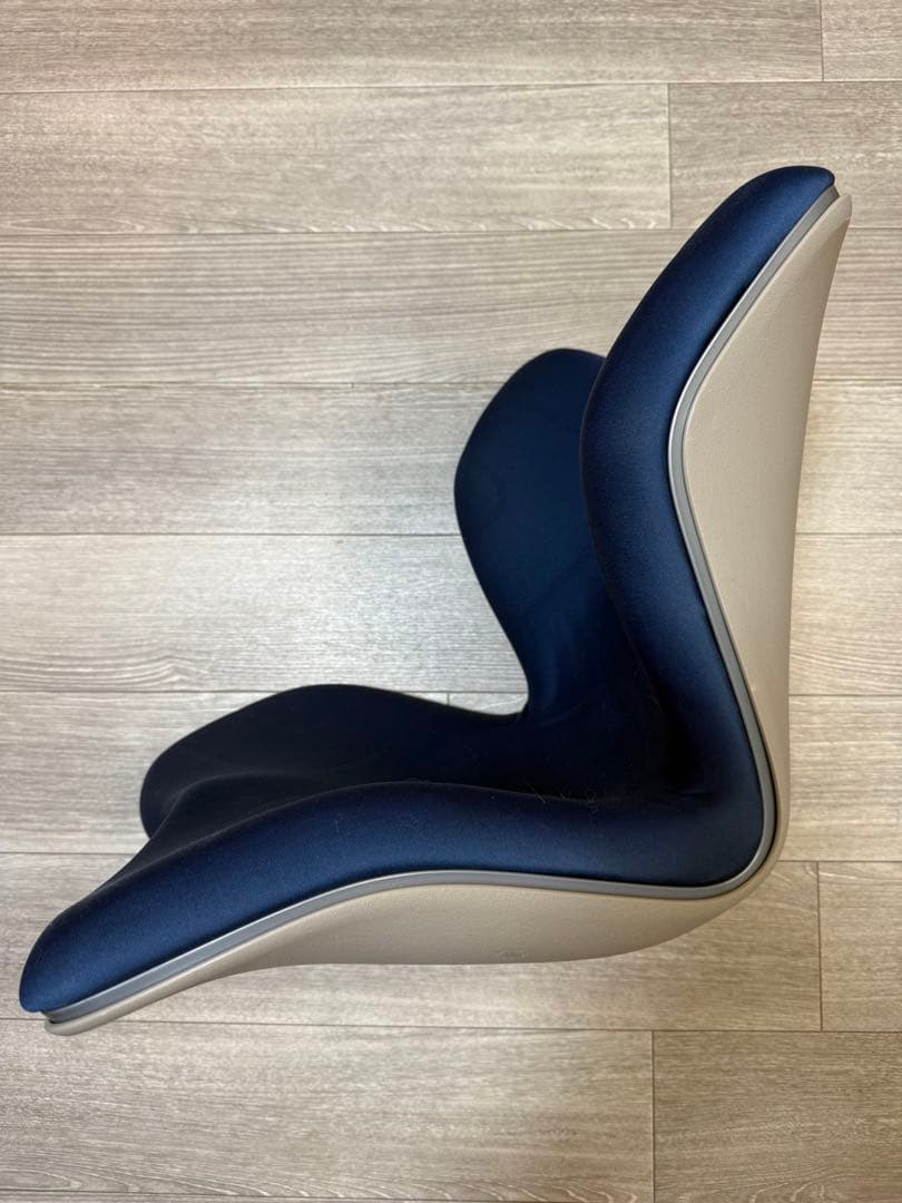 【リクエスト】スタイル プレミアム シリーズMTG エムティージー 骨盤サポート