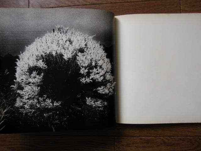 植物に　山村雅昭　PLANTS　Gasho Yamamura　直筆サイン入り