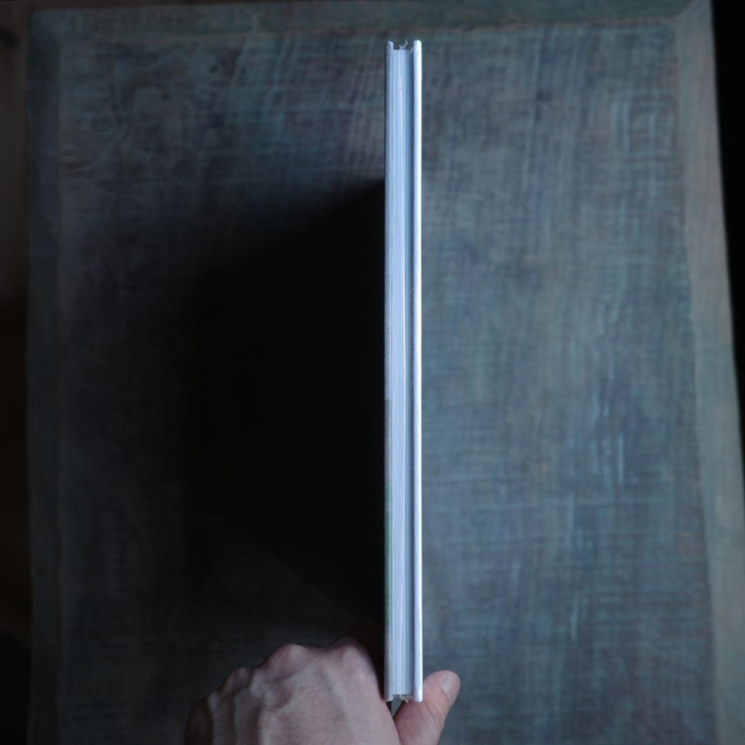 Giorgio Morandi: Late Paintings モランディ 画集