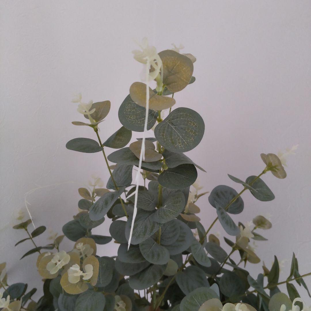 ユーカリの木130cm タイプ！銀丸葉 ！ 大型フェイクプランツ！ 未使用！