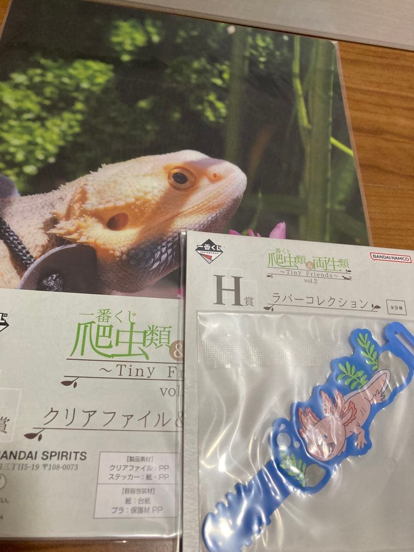 一番くじ爬虫類&両生類～Tiny Friends～vol.2ラストワンC下位賞
