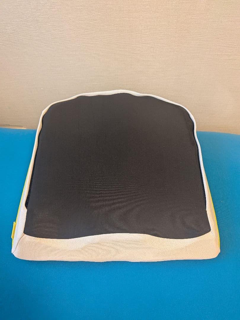 Keeps 骨盤・姿勢矯正クッション　3点