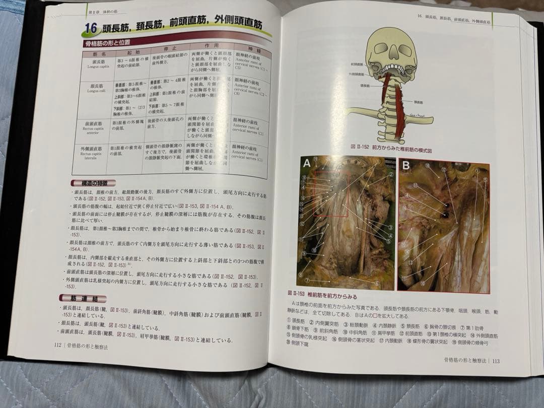 改訂第2版 骨格筋の形と触察法