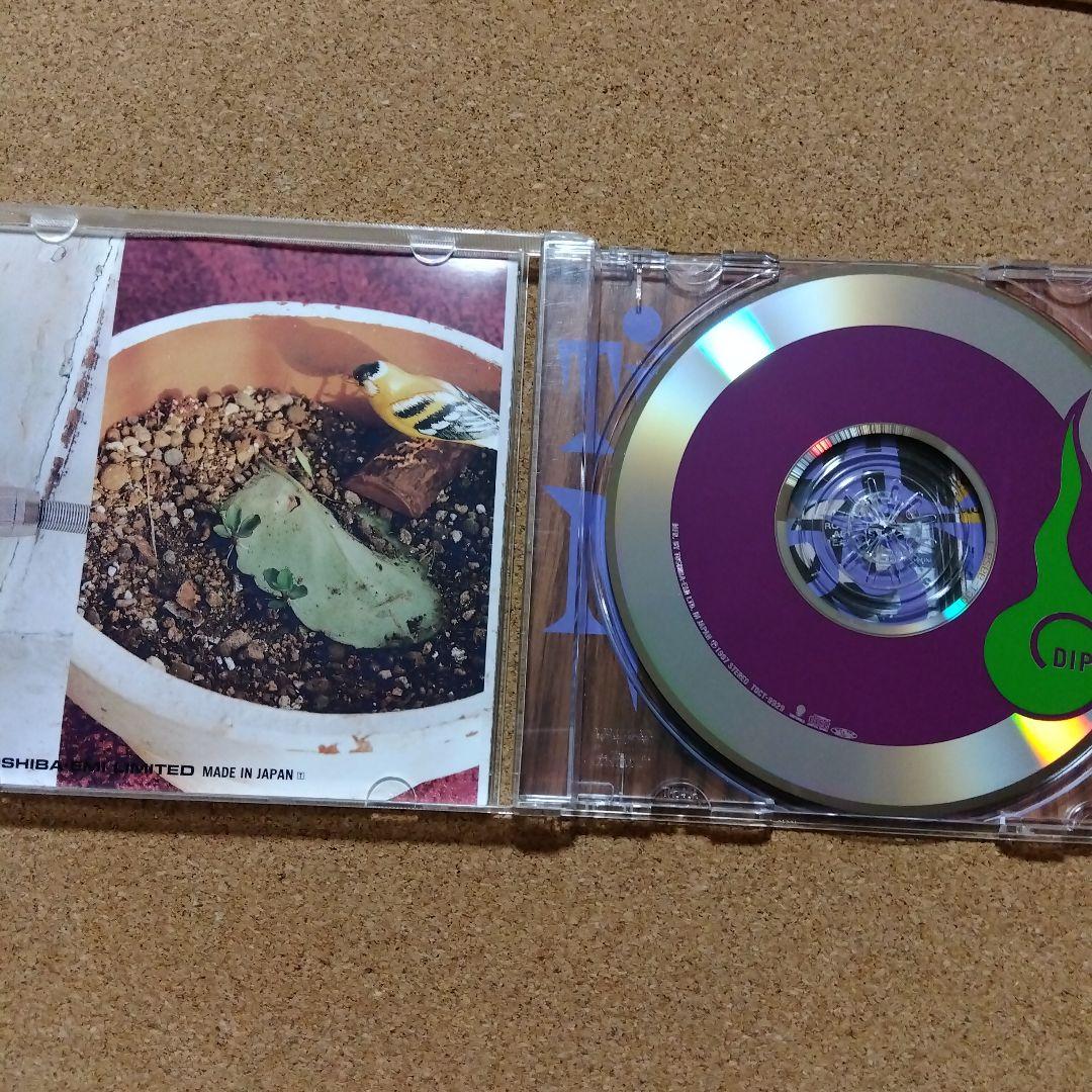 dip ヤマジ まとめ売り セット