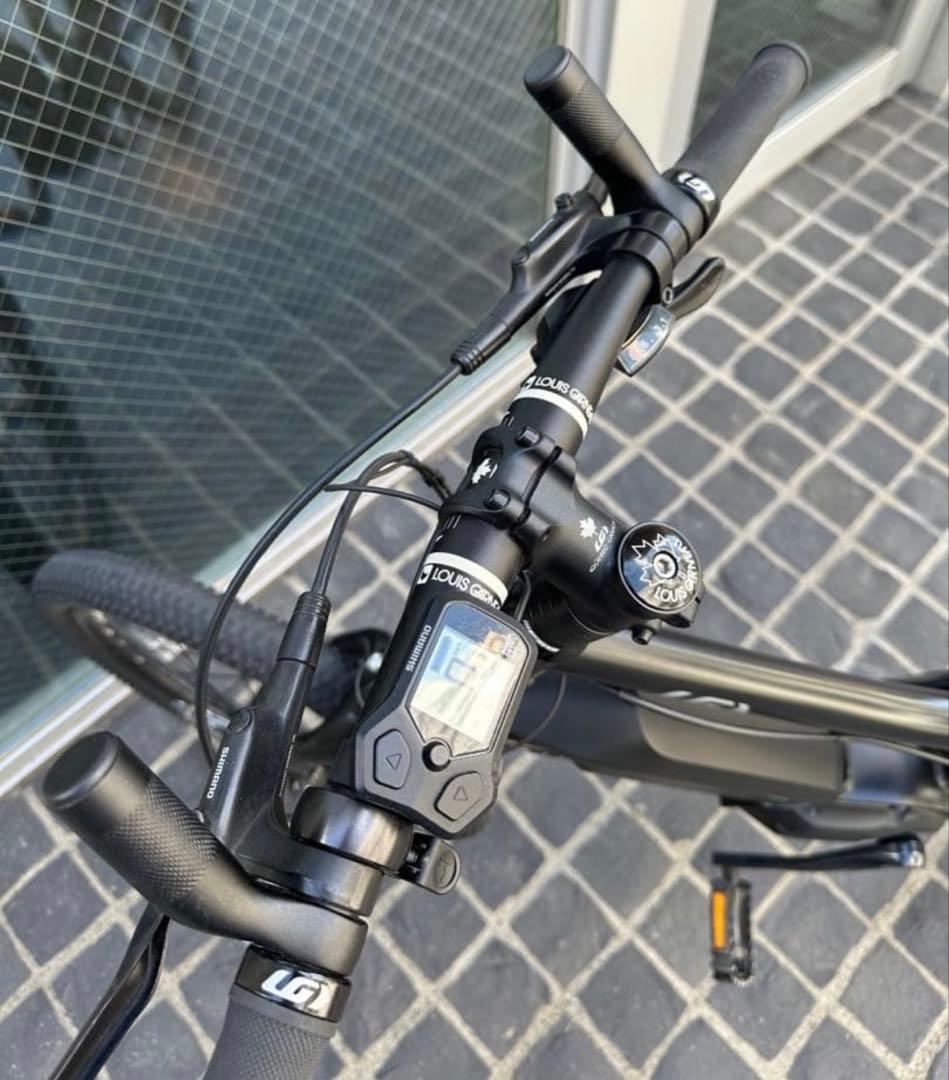 ルイガノEASEL-E　（ミニベロEバイク）