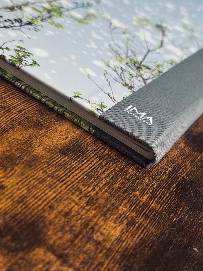 【希少本】Yusurika / 水谷吉法