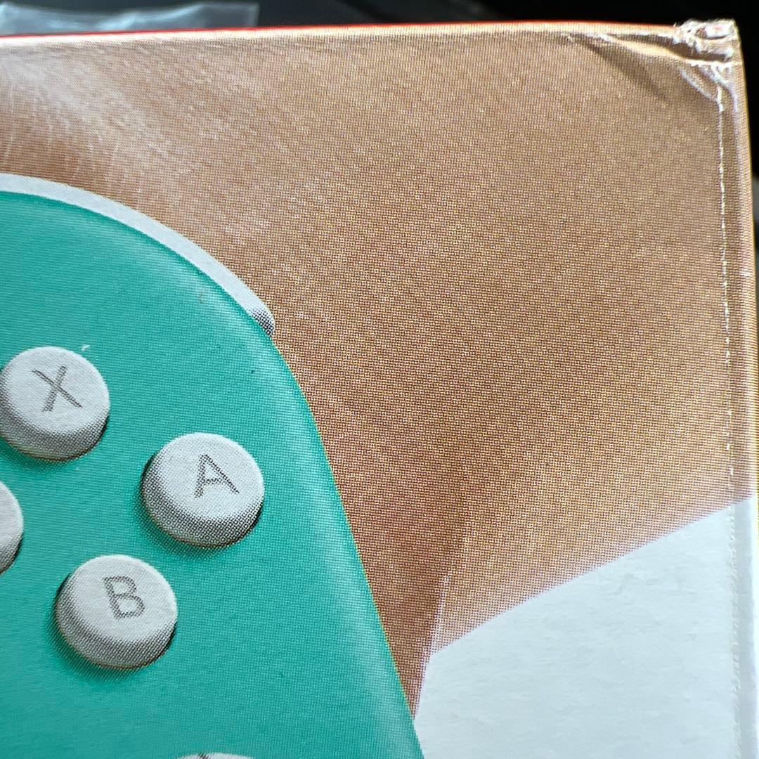 未使用品 Nintendo Switch Lite ターコイズ