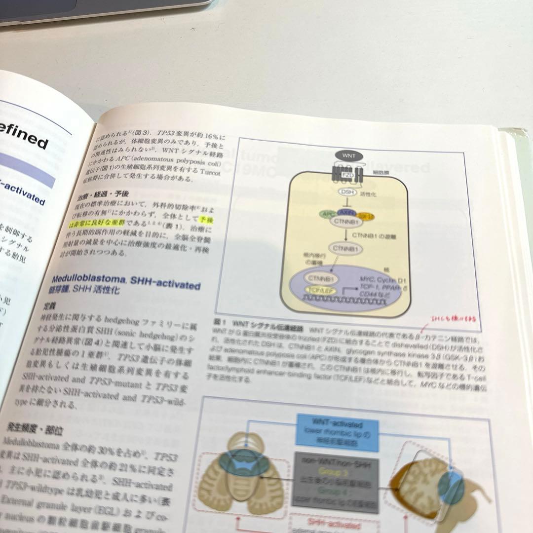 脳腫瘍臨床病理カラーアトラス　第4版