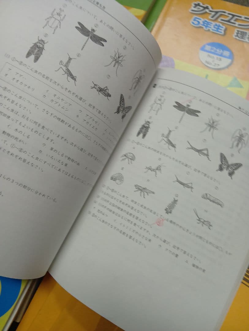 浜学園　小５　国語/算数/理科/春/夏/冬　テキスト　2023年使用版　 中古