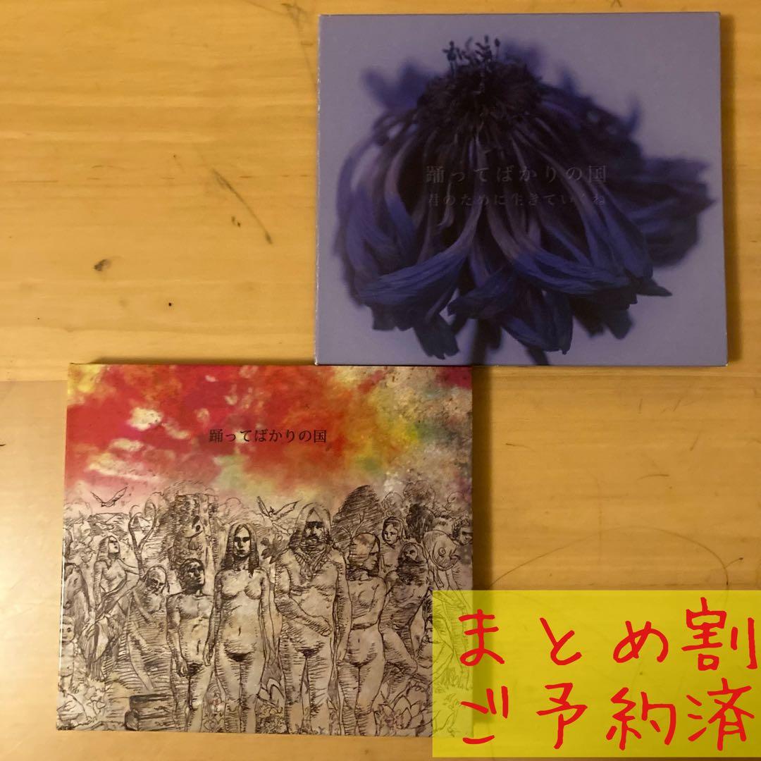 shio　踊ってばかりの国　君のために生きていくね　下津光史