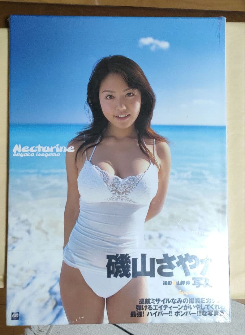 Nectarine 磯山さやか写真集