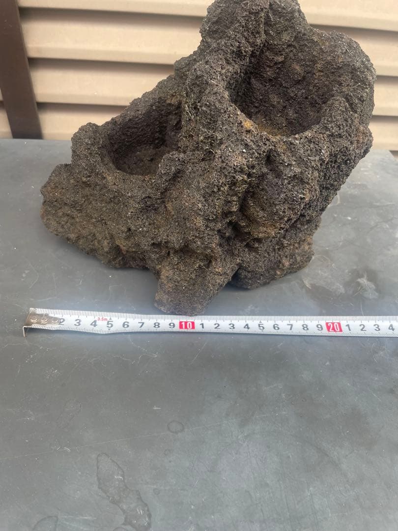 ADA 雲山石　水槽用レイアウト石2点セット