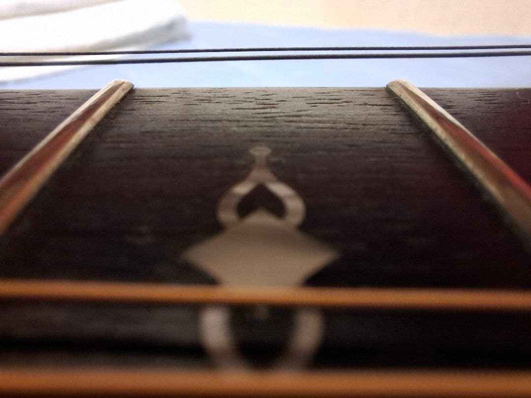 Taylor 314ce ★最終値下げ 今月で出品終了します★