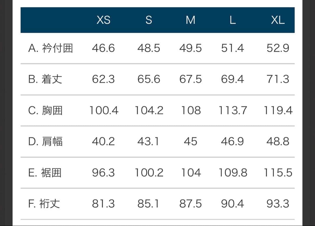 未使用 モンベル montbell プラズマ1000 ダウンジャケット