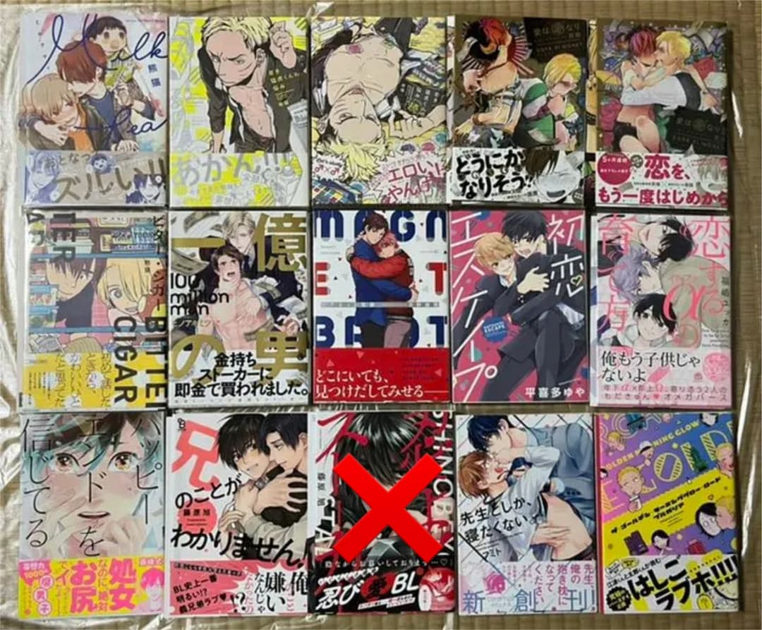 12 BL本まとめ売り　ボーイズラブコミックス　BOYS LOVE COMICS
