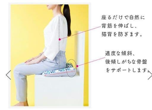 クッション　美姿勢サポート　骨盤　骨盤サポート　肩甲骨　肩甲骨サポート　美姿勢