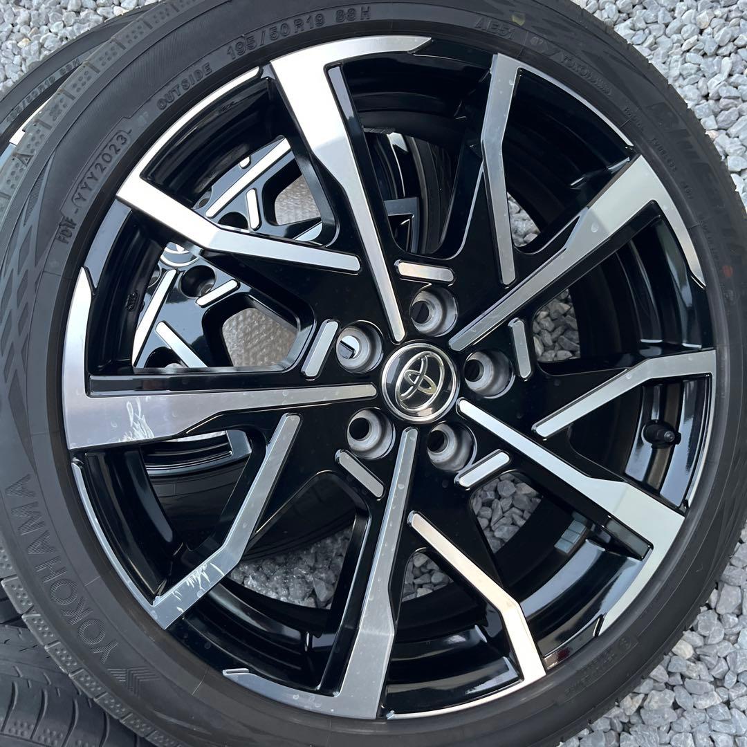 金井(きんきんせんせい)プロフ必読