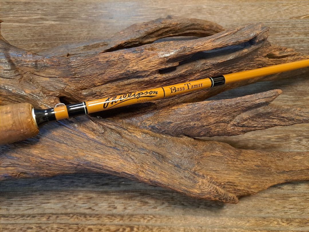 ザウルス　フィリプソン　BC60L & ジャンク扱いのBC60M付き　バルサ50