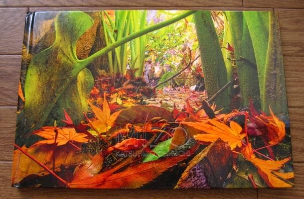 MIZO　大口勝弘　KATSUHIRO OHKUCHI　うたかた堂