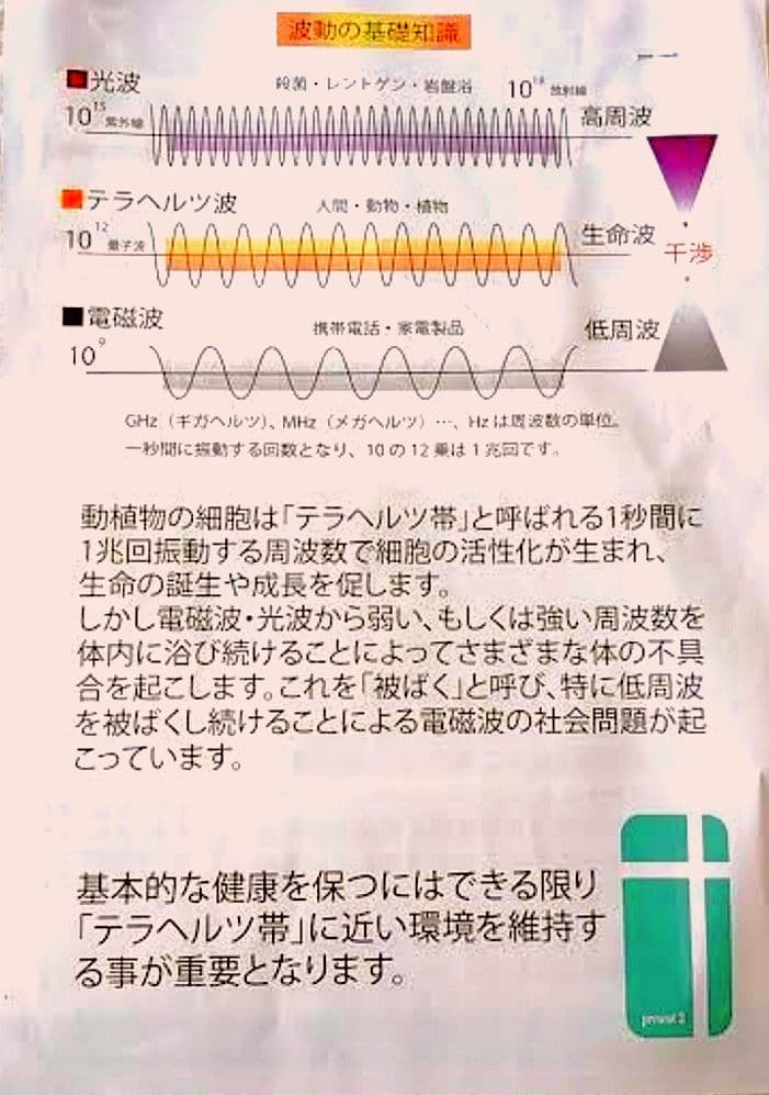 【Bigおまけ付き】新品テラチップ　量子波発信器　スマホ電磁波5G対策
