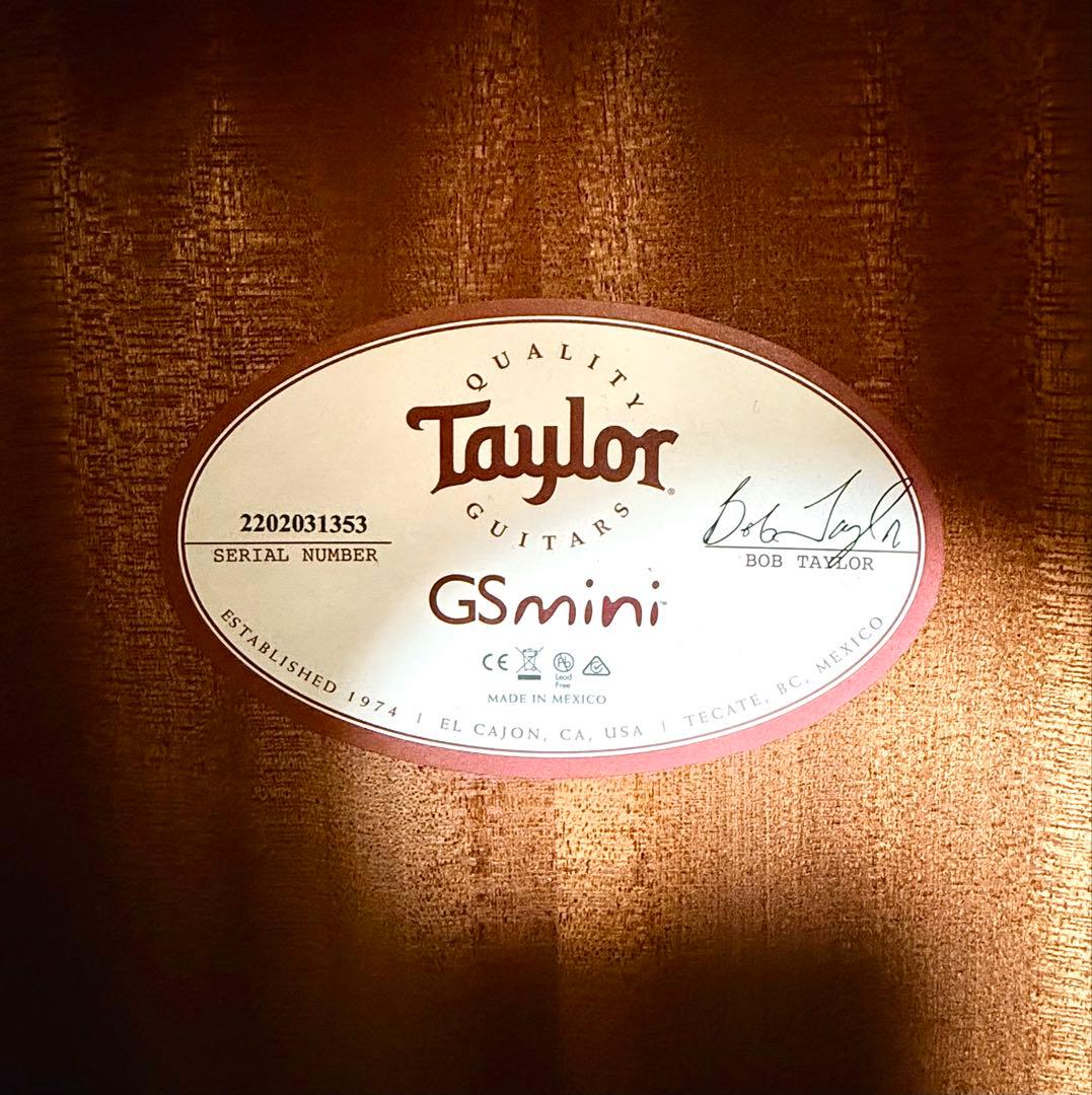 Taylor GS Mini-e Koa ミニギター【ピックアップ搭載】