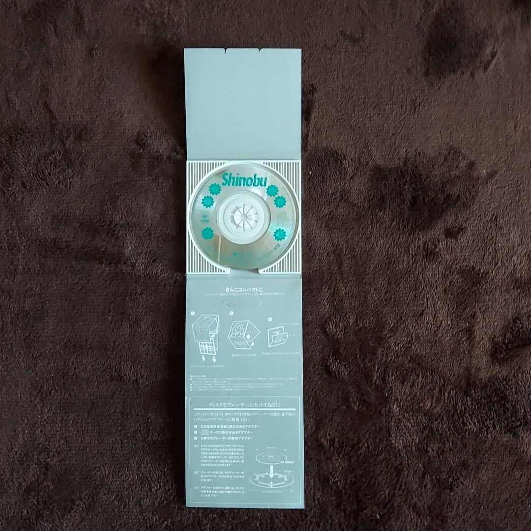 中山忍　夏に恋するAWATENBO