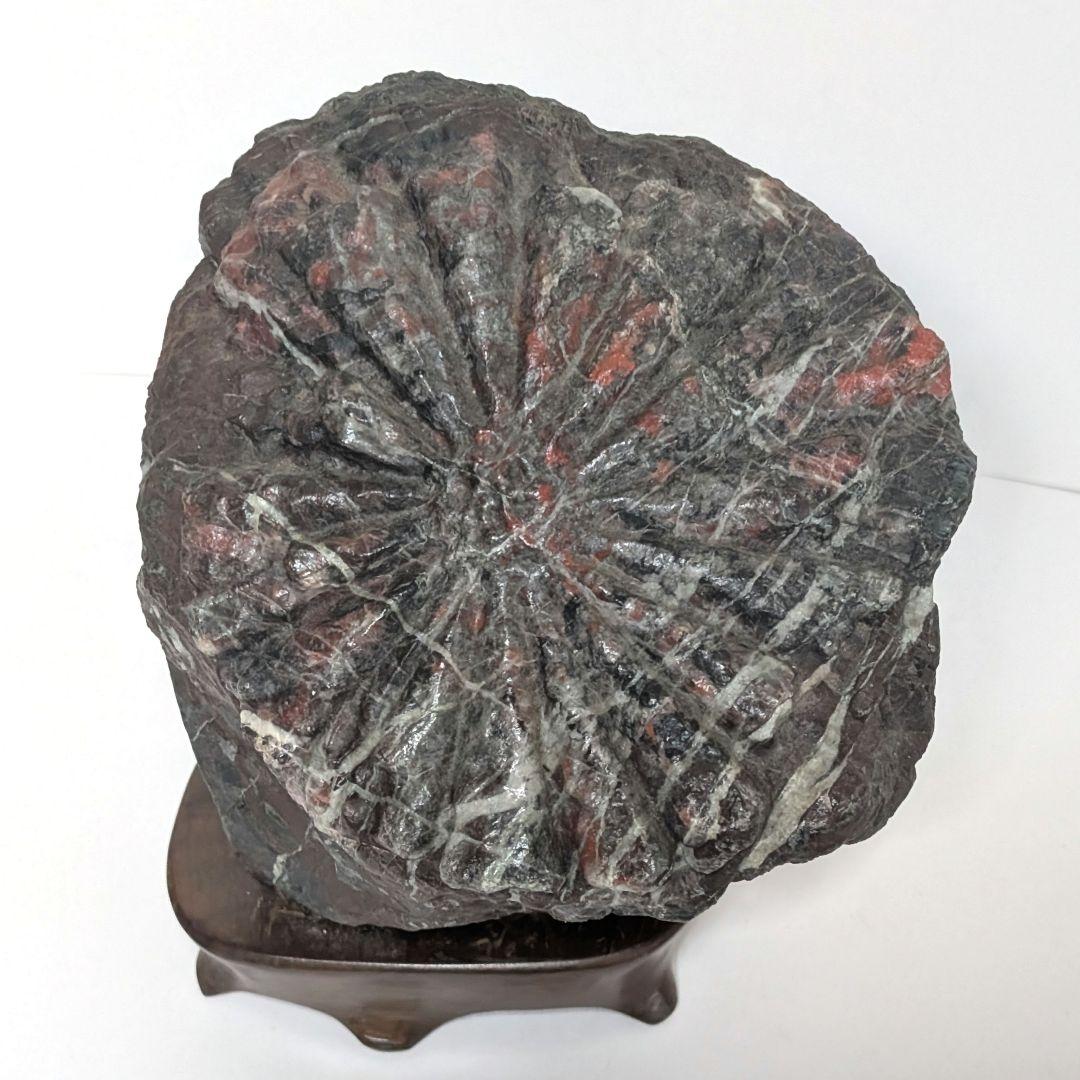 鑑賞石　オブジェ　置物