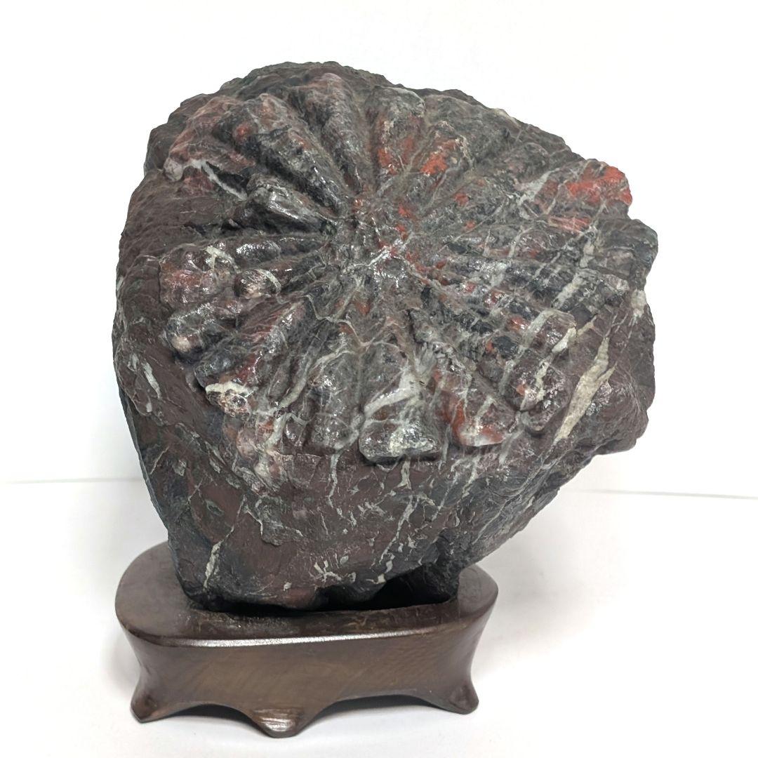 鑑賞石　オブジェ　置物