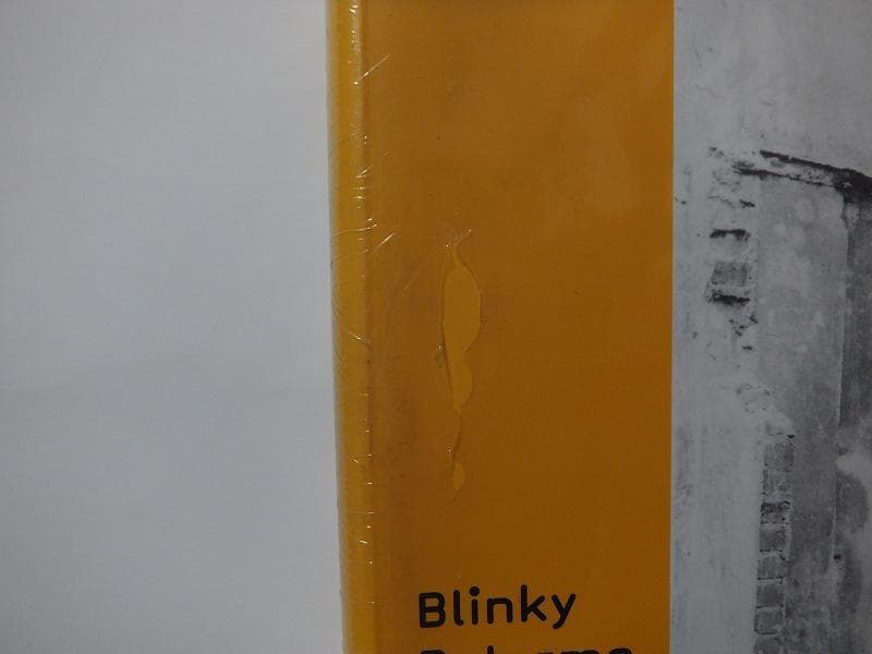 ブリンキー・パレルモ　Blinky Palermo /未開封洋書!