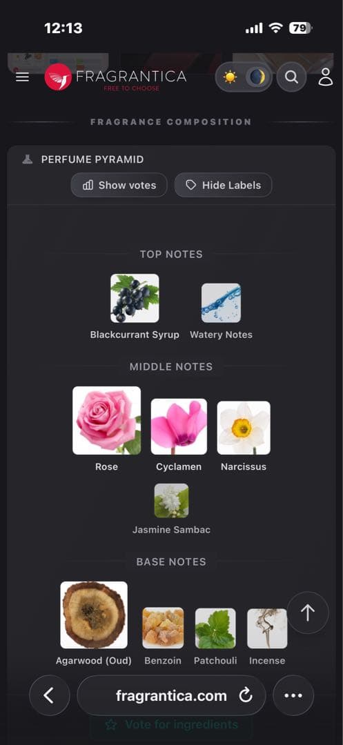 Louis Vuitton Matière Noire 約160ml 正規品