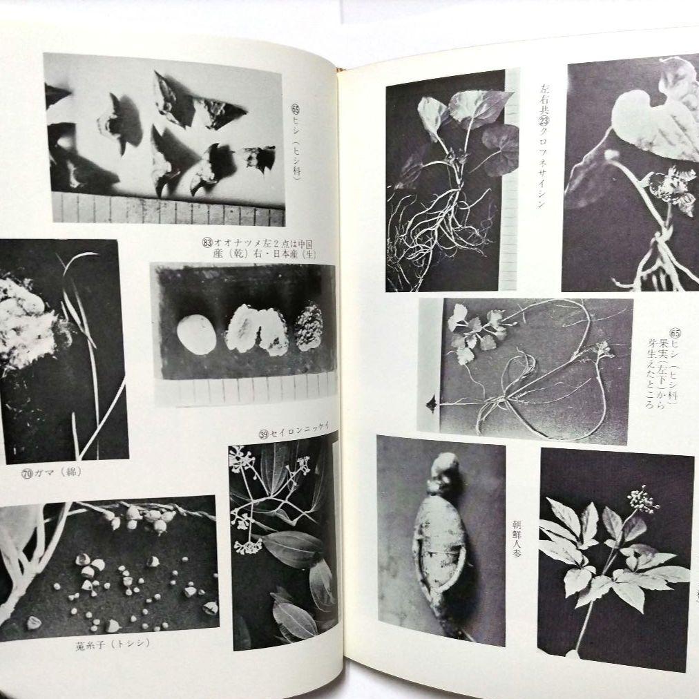 医心方 房内 現代語 完訳 【非常に貴重】