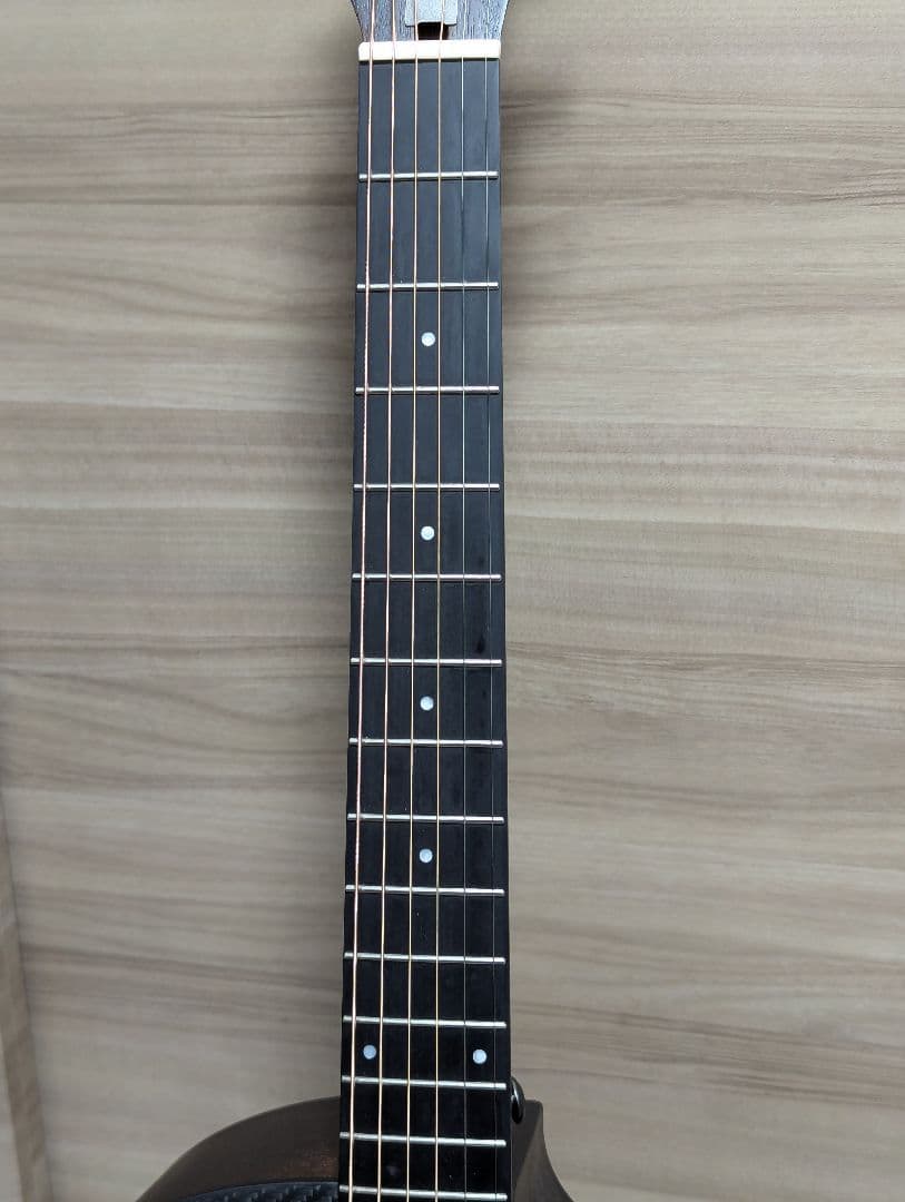 Donner Rising G-1 カーボントップ アコースティックギター