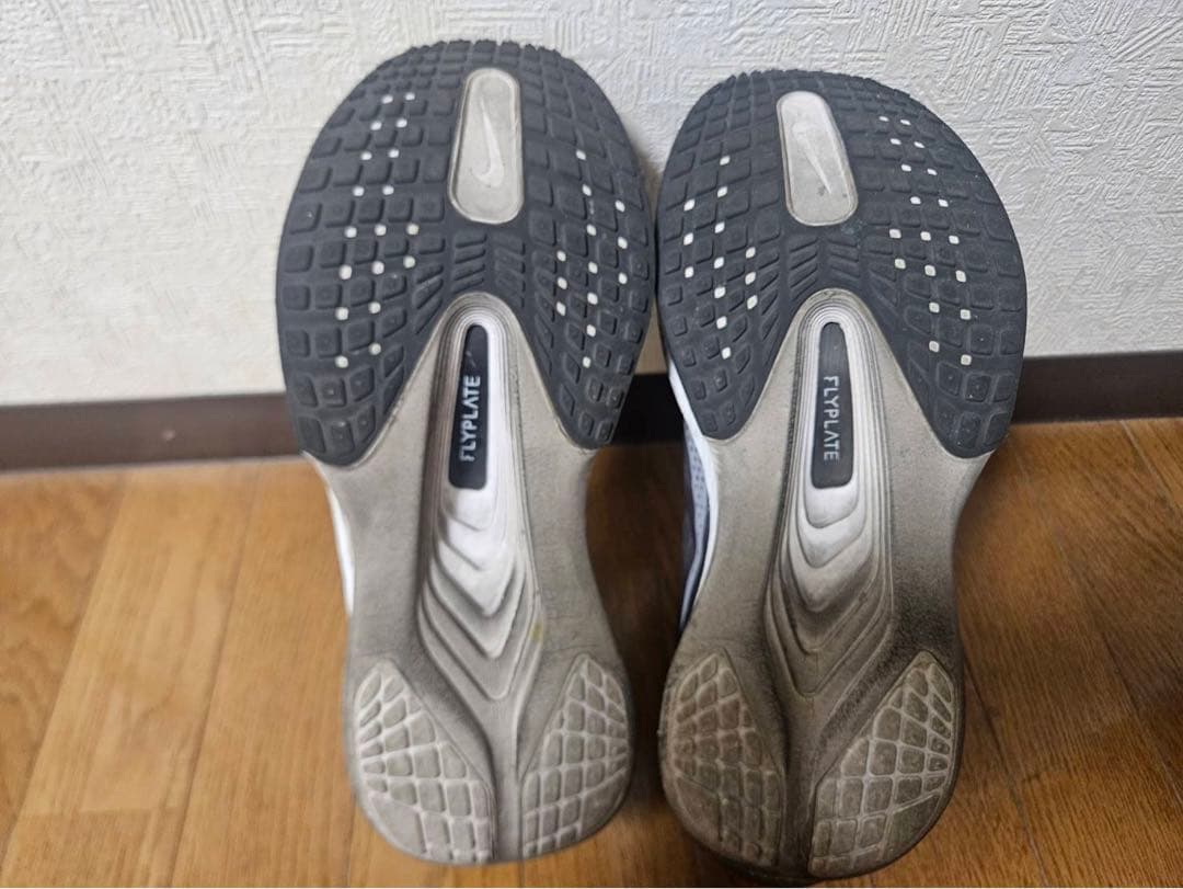 Nikeズームフライ6／Zoom Fly 6／29cm