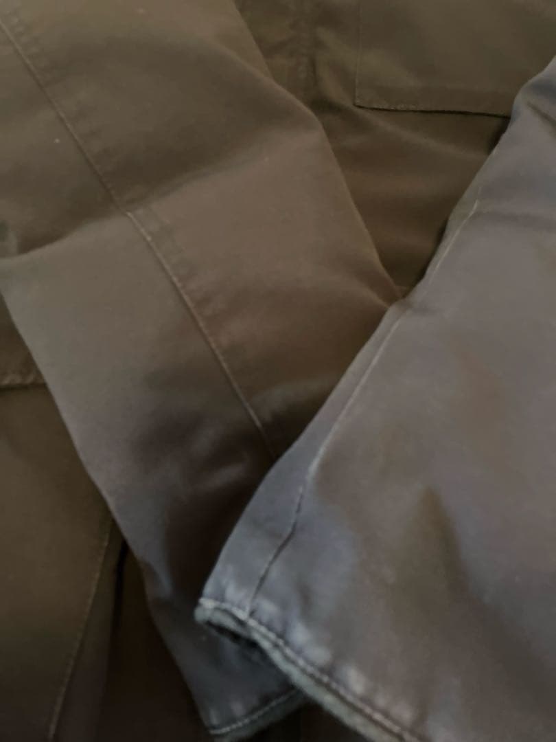 カナダグース　カムループス