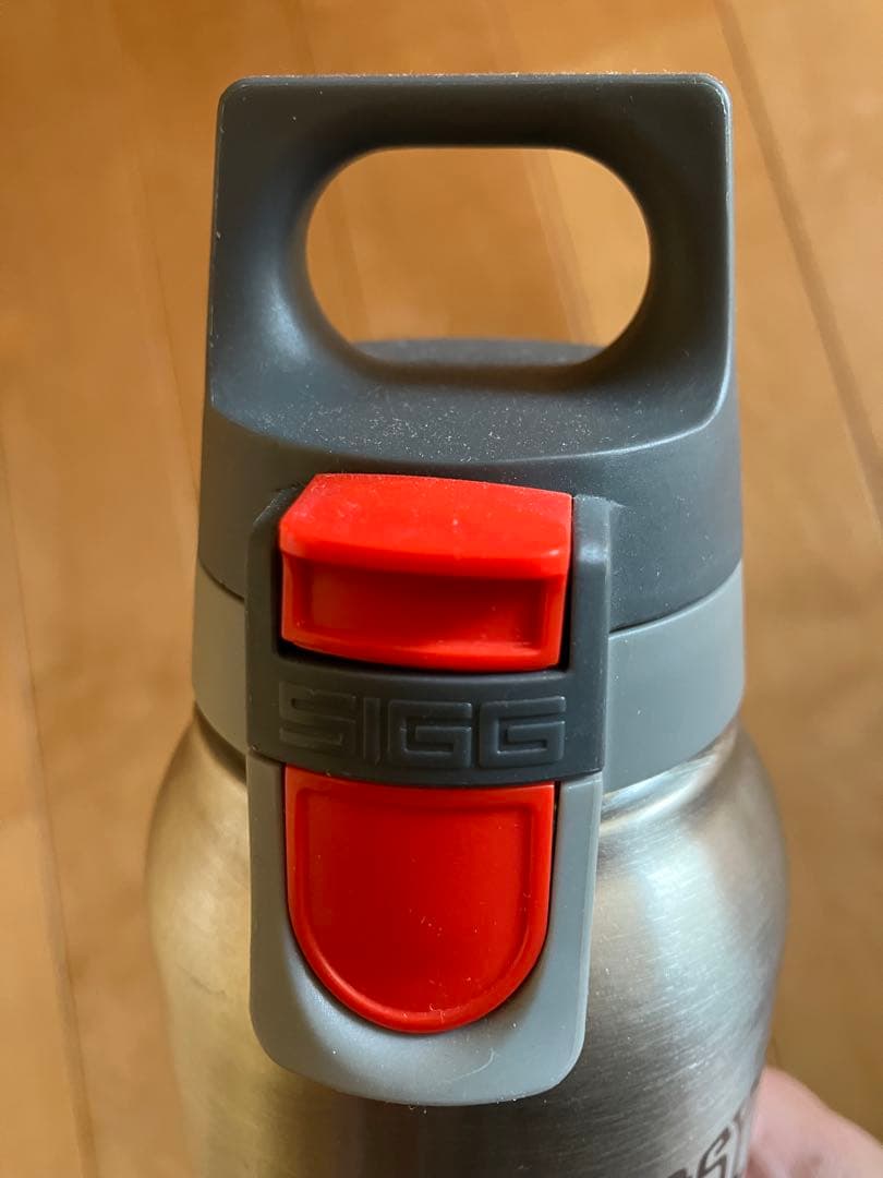 stussy livin GENERAL STORE SIGG 保温保冷ボトル