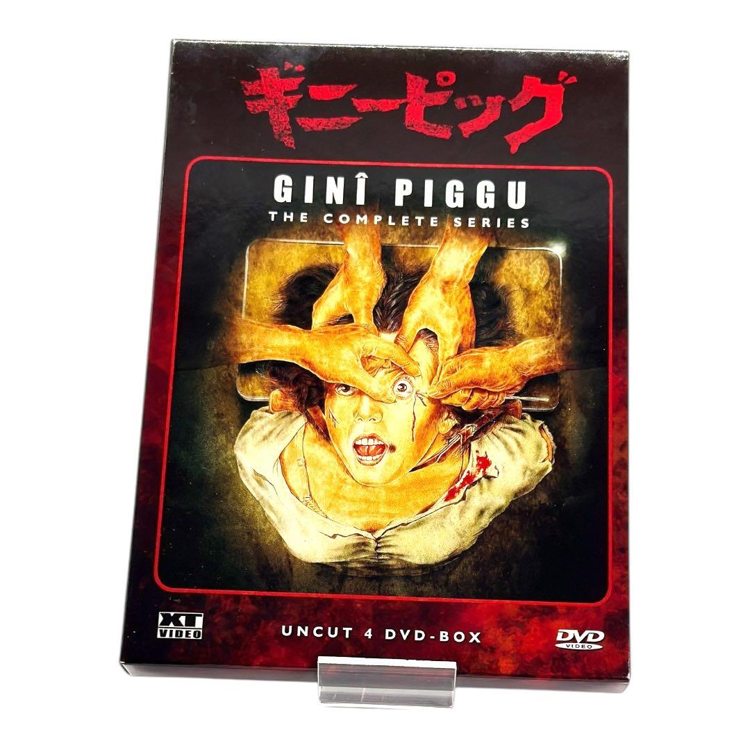 ギニーピッグ GINI PIGGU 完全版 DVDボックス