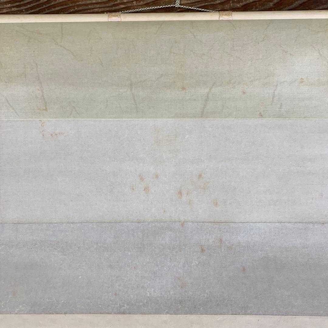 美品 掛け軸 大徳寺 尾関桃林作「柳緑花紅」共箱 禅語 茶掛け