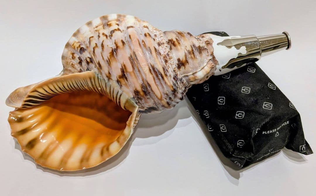 法螺貝　39.2cm 貝袋付き　1292ｇ　 38000円　山伏　修験