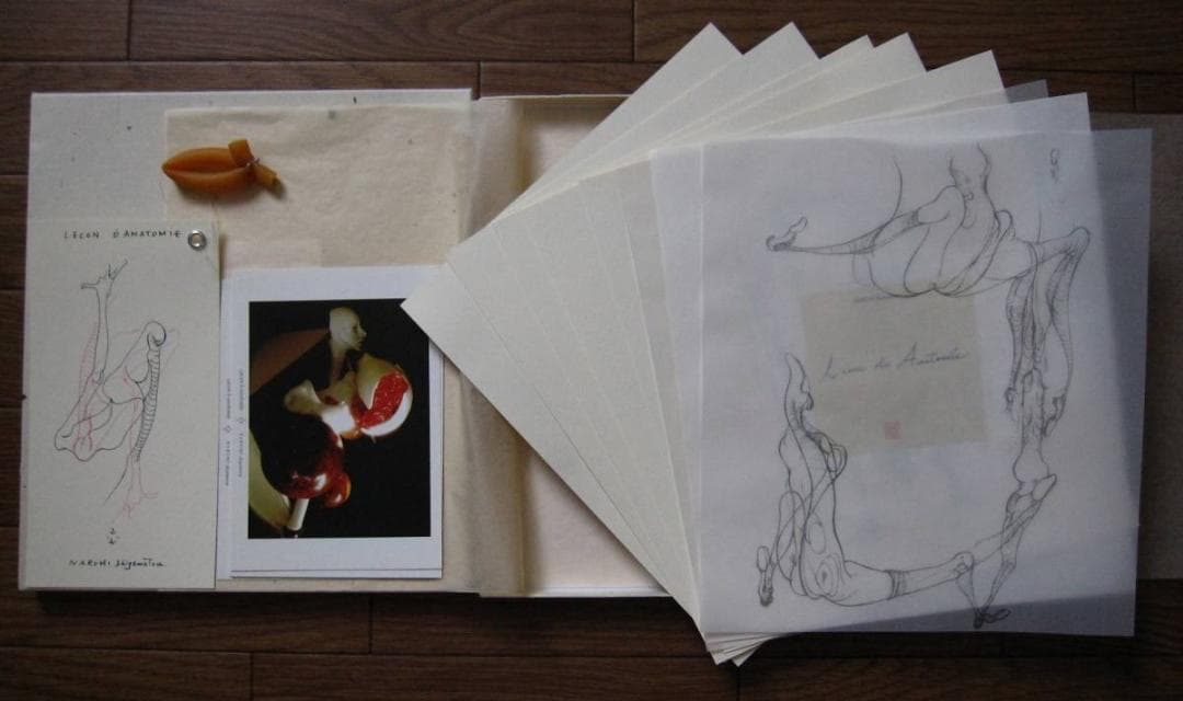 解剖学の授業 Lecon de Anatomie　重松成美