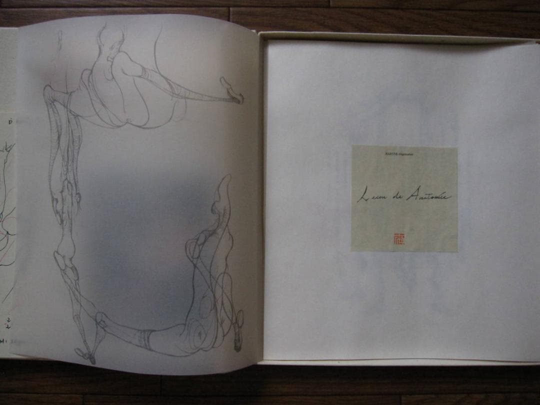 解剖学の授業 Lecon de Anatomie　重松成美