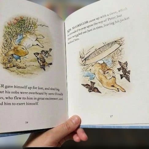 ピーターラビット　絵本　洋書　英語　23冊　箱入り