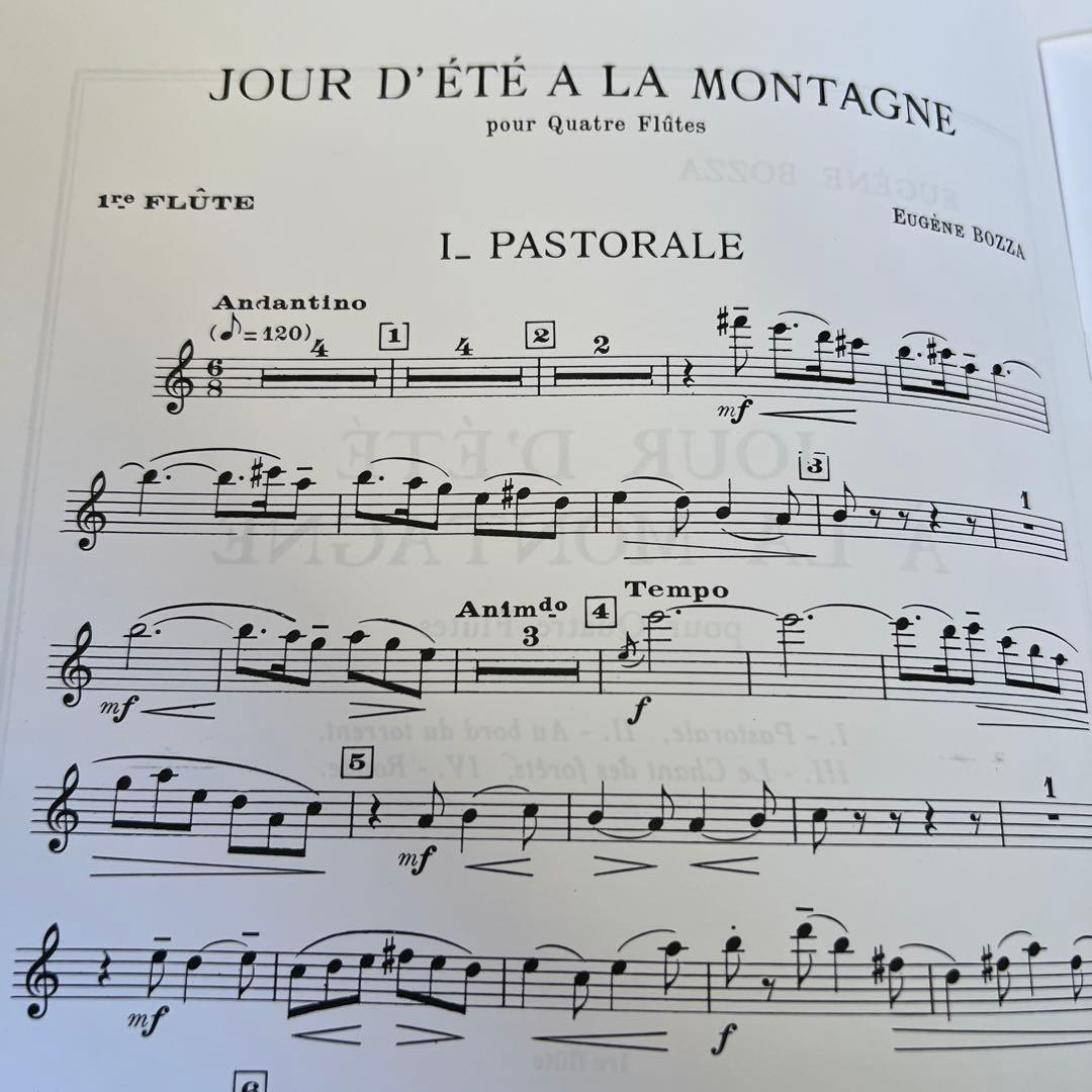 フルート四重奏　ボザ　夏山の一日