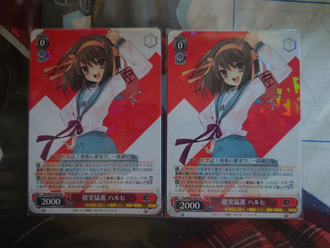 猪突猛進 ハルヒ 2枚組　RR