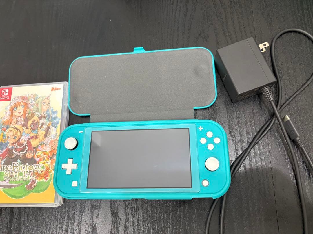 Nintendo Switch Lite ターコイズ + カセット付き