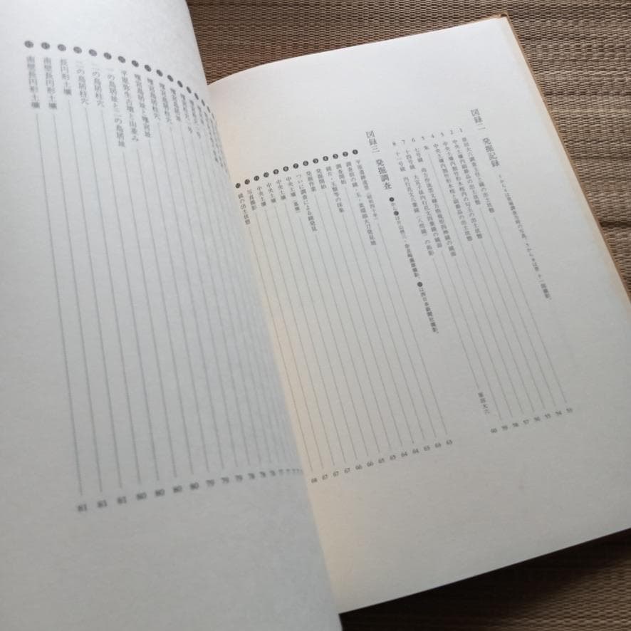 平原弥生古墳　大日霎貴の墓　上下セット　考古学　資料　希少歴史