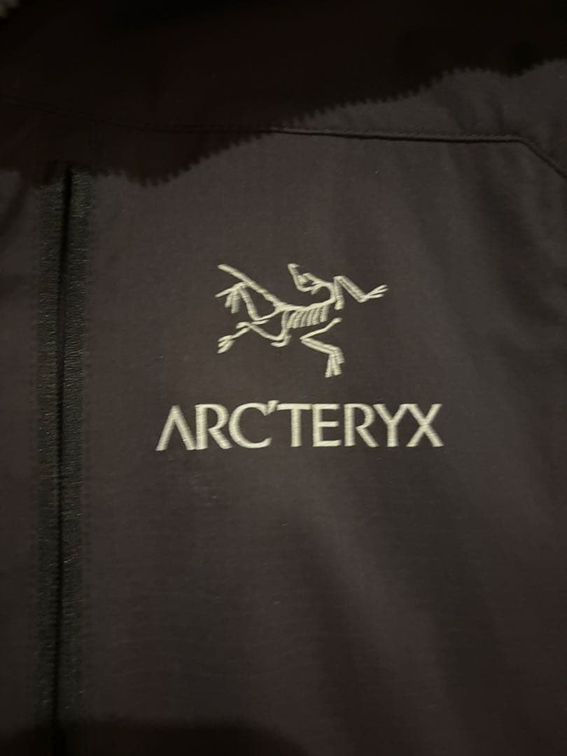 arc'teryxスコーミッシュ フーディ メンズ