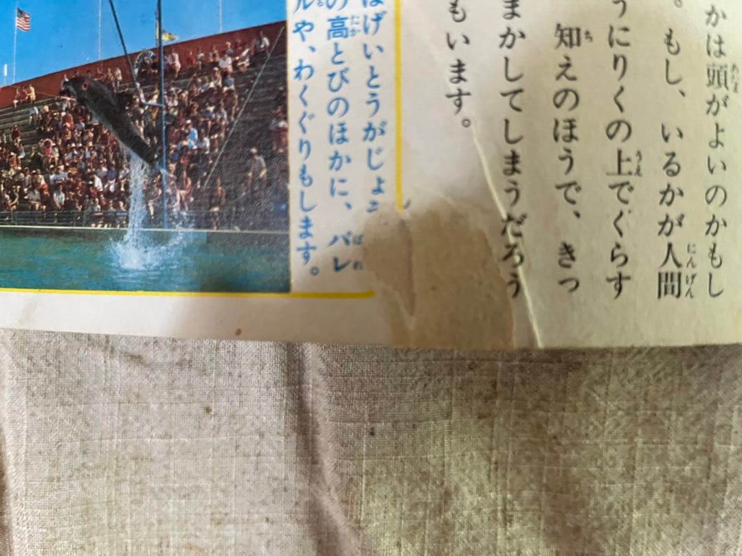 なぜなに学習図鑑9 なぜなに　からだのふしぎ